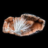 Scolecite Accular Sprays Inside Heulandite Geode Natural Mineral Specimen  # B 4902