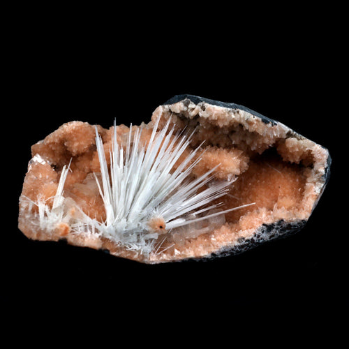 Scolecite Accular Sprays Inside Heulandite Geode Natural Mineral Specimen  # B 4902