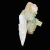 Rare Scolecite Spray with Green Apophyllite Crystals – Natural Indian Zeolite Specimen from Nashik, India DK150
