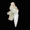 Rare Scolecite Spray with Green Apophyllite Crystals – Natural Indian Zeolite Specimen from Nashik, India DK150