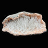 Scolecite exceptionally rare and visually striking raw Scolecite natural Indian Zeolite DK106