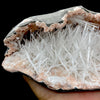 Scolecite exceptionally rare and visually striking raw Scolecite natural Indian Zeolite DK106