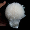 Scolecite Galssy Spehere with Apophyllite Natural Mineral Specimen  # B 4609