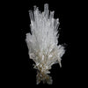 Scolecite Glassy Spray Natural Mineral Specimen  # B 4608