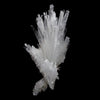 Scolecite Glassy Spray Natural Mineral Specimen  # B 4608