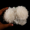 Scolecite Huge Spray with Green Apophyllite Cube Natural Mineral Specimen # B 5725
