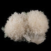 Scolecite Huge Spray with Green Apophyllite Cube Natural Mineral Specimen # B 5725