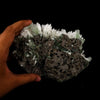 Scolecite Huge Spray with Green Apophyllite Cube Natural Mineral Specimen # B 5725