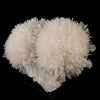 Scolecite Huge Spray with Green Apophyllite Cube Natural Mineral Specimen # B 5725