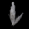 Scolecite Spray Formation Natural Mineral Specimen  # B 5275