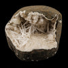 Scolecite Spray Inside Chalcedony Geode Natural Mineral Specimen # B 6142