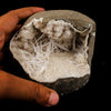 Scolecite Spray Inside Chalcedony Geode Natural Mineral Specimen # B 6142