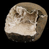 Scolecite Spray Inside Chalcedony Geode Natural Mineral Specimen # B 6142