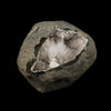 Scolecite Spray Inside Chalcedony Geode Natural Mineral Specimen # B 6165
