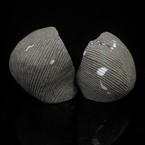 Scolecite Spray Inside Complete Geode Natural Mineral Specimen # B 7029