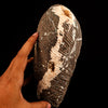Scolecite Spray Inside Heulandite Geode Free Standing Natural Mineral Specimen # B 6499