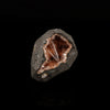 Scolecite Spray inside Heulandite geode Natural Mineral Specimen # B 5499