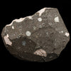 Scolecite Spray Inside Heulandite Geode Natural Mineral Specimen # B 6502