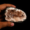 Scolecite Spray Inside Heulandite Geode Natural Mineral Specimen # B 6502