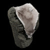 Scolecite Spray Inside MM Quartz Geode Natural Mineral Specimen # B 5655