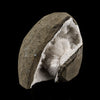 Scolecite Spray Inside MM Quartz Geode Natural Mineral Specimen # B 6087
