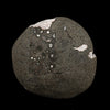 Scolecite Spray Inside MM Quartz Geode Natural Mineral Specimen # B 6311