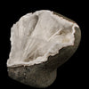 Scolecite Spray Inside MM Quartz Geode Natural Mineral Specimen # B 6315