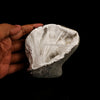 Scolecite Spray Inside MM Quartz Geode Natural Mineral Specimen # B 6315