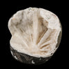 Scolecite Spray Inside MM Quartz Geode Natural Mineral Specimen # B 6324