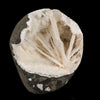 Scolecite Spray Inside MM Quartz Geode Natural Mineral Specimen # B 6324