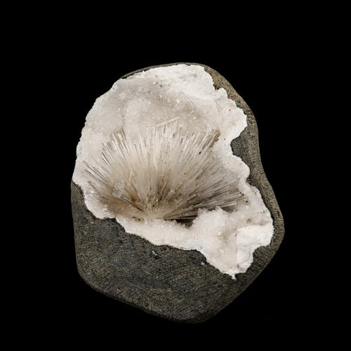 Scolecite Spray Inside MM Quartz Geode Natural Mineral Specimen # B 6330