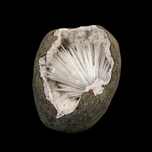 Scolecite Spray Inside MM Quartz Geode Natural Mineral Specimen # B 6335
