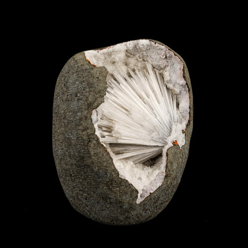 Scolecite Spray Inside MM Quartz Geode Natural Mineral Specimen # B 6335