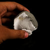 Scolecite Spray Inside MM Quartz Geode Natural Mineral Specimen # B 6345