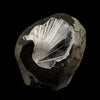 Scolecite Spray Inside MM Quartz Geode Natural Mineral Specimen # B 6410