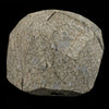 Scolecite Spray Inside MM Quartz Geode Natural Mineral Specimen # B 6565