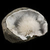 Scolecite Spray Inside MM Quartz Geode Natural Mineral Specimen # B 6565