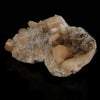 Scolecite Spray inside Stilbite geode Natural Mineral Specimen # B 5501