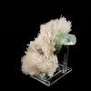 Scolecite Spray with Green Apophyllite Natural Mineral Specimen # B 6056