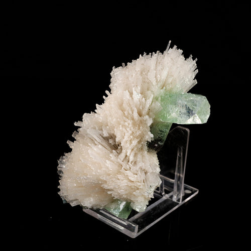 Scolecite Spray with Green Apophyllite Natural Mineral Specimen # B 6056