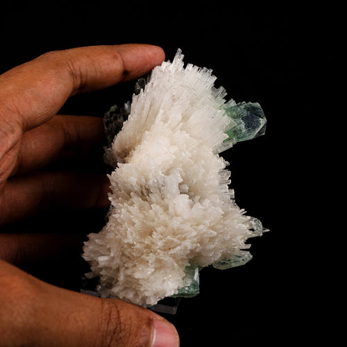 Scolecite Spray with Green Apophyllite Natural Mineral Specimen # B 6056