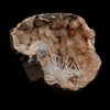 Scolecite Sprays Fan Inside Heulandite Geode Natural Mineral Specimen  # B 5133