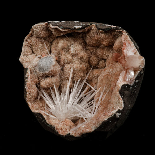 Scolecite Sprays Fan Inside Heulandite Geode Natural Mineral Specimen  # B 5133