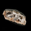 Scolecite Sprays in Heulandite Geode Natural Mineral Specimen # B 6296