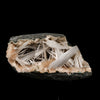 Scolecite Sprays in Heulandite Geode Natural Mineral Specimen # B 6296