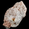 Scolecite Sprays in Heulandite Geode Natural Mineral Specimen # B 6547