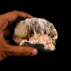 Scolecite Sprays in Stilbite Geode Natural Mineral Specimen # B 6293