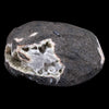 Scolecite Sprays Inside Geode Natural Mineral Specimen  # B 4649