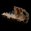 Scolecite Sprays Inside Heulandite Geode Natural Mineral Specimen  # B 5059