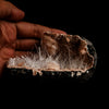 Scolecite Sprays Inside Heulandite Geode Natural Mineral Specimen  # B 5059